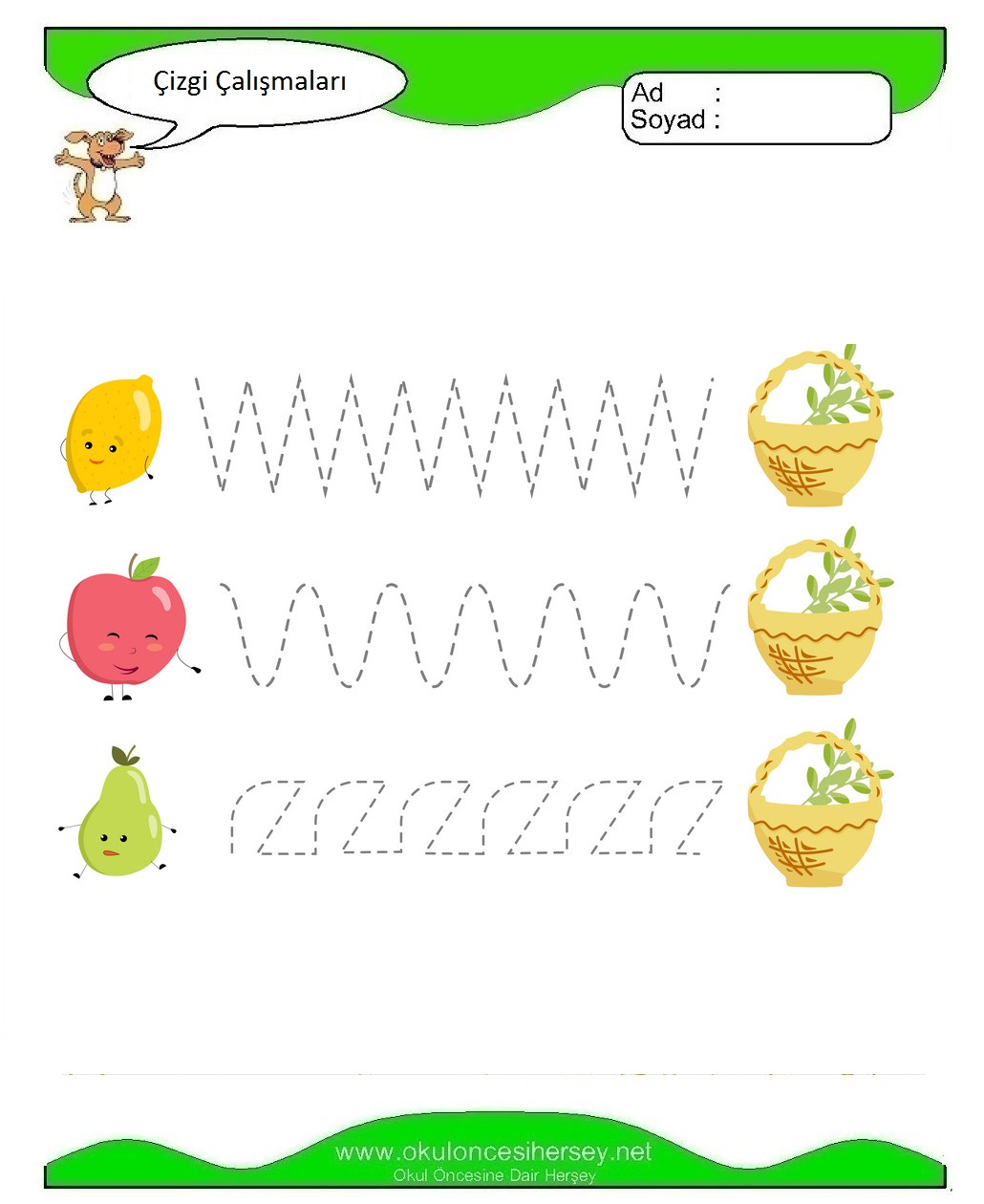 Çizgi Çalışmaları