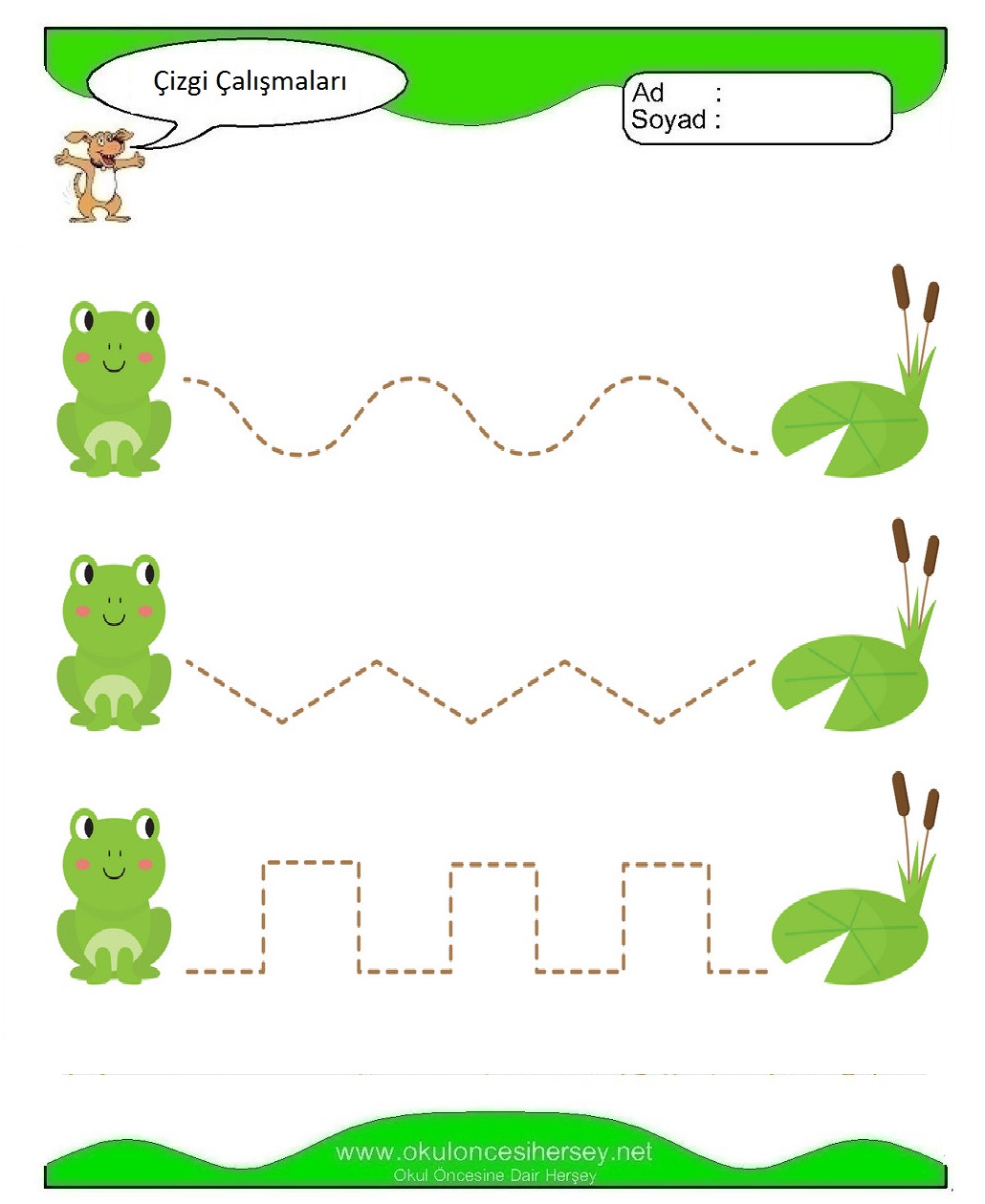 Çizgi Çalışmaları