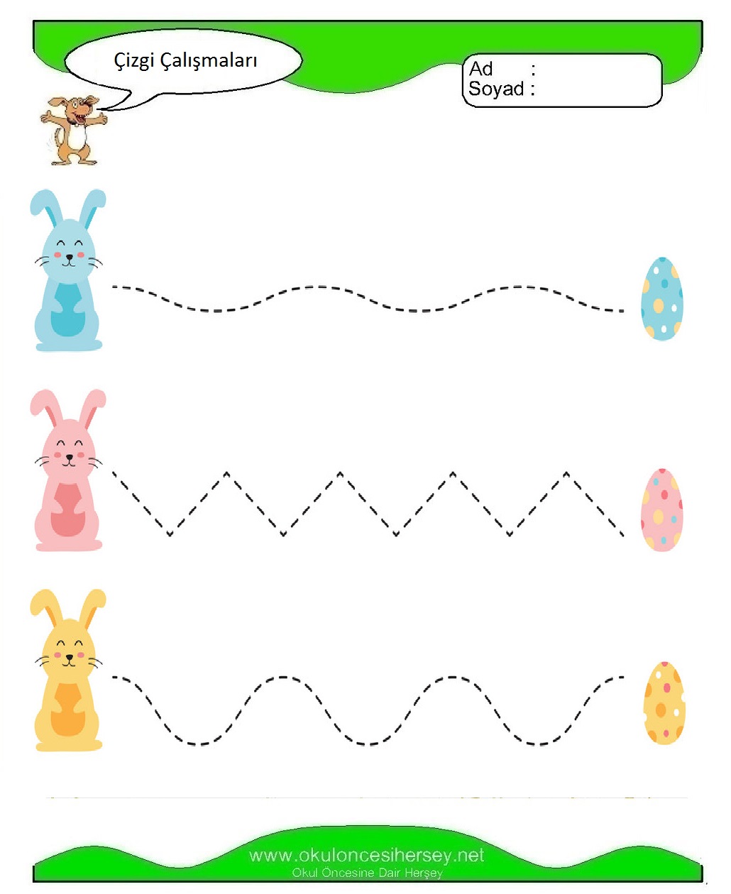 Çizgi Çalışmaları