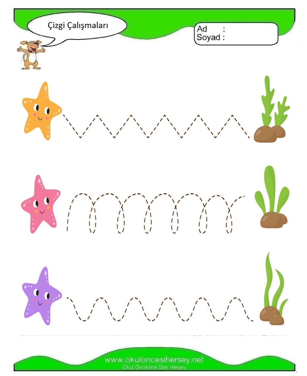 Çizgi Çalışmaları