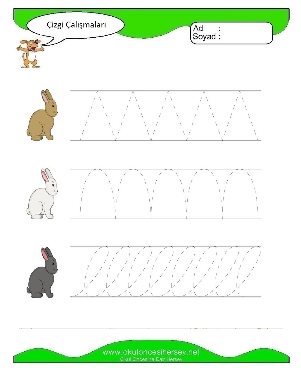 Çizgi Çalışmaları