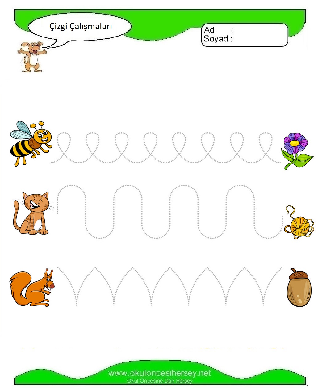 Çizgi Çalışmaları