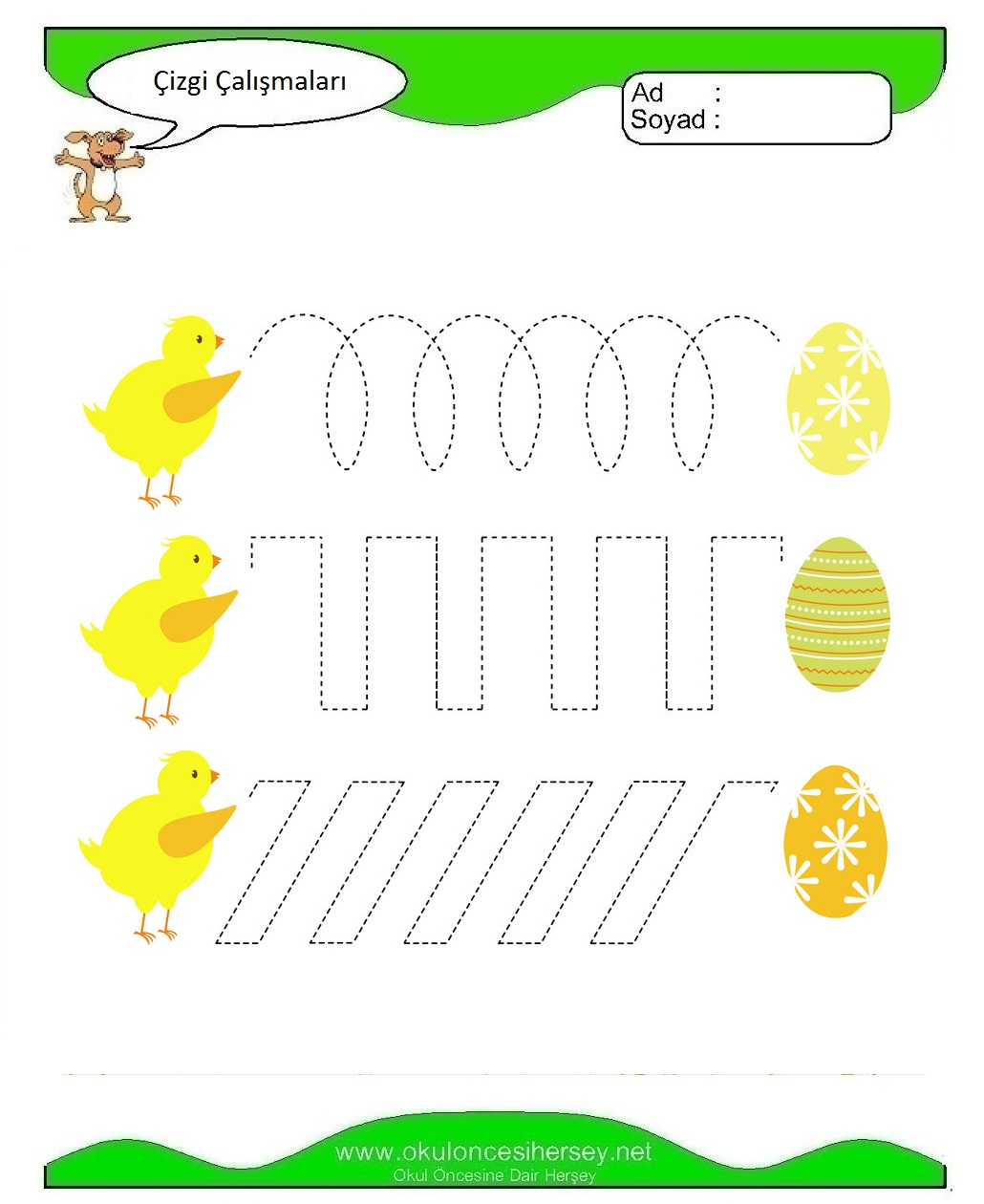 Çizgi Çalışmaları