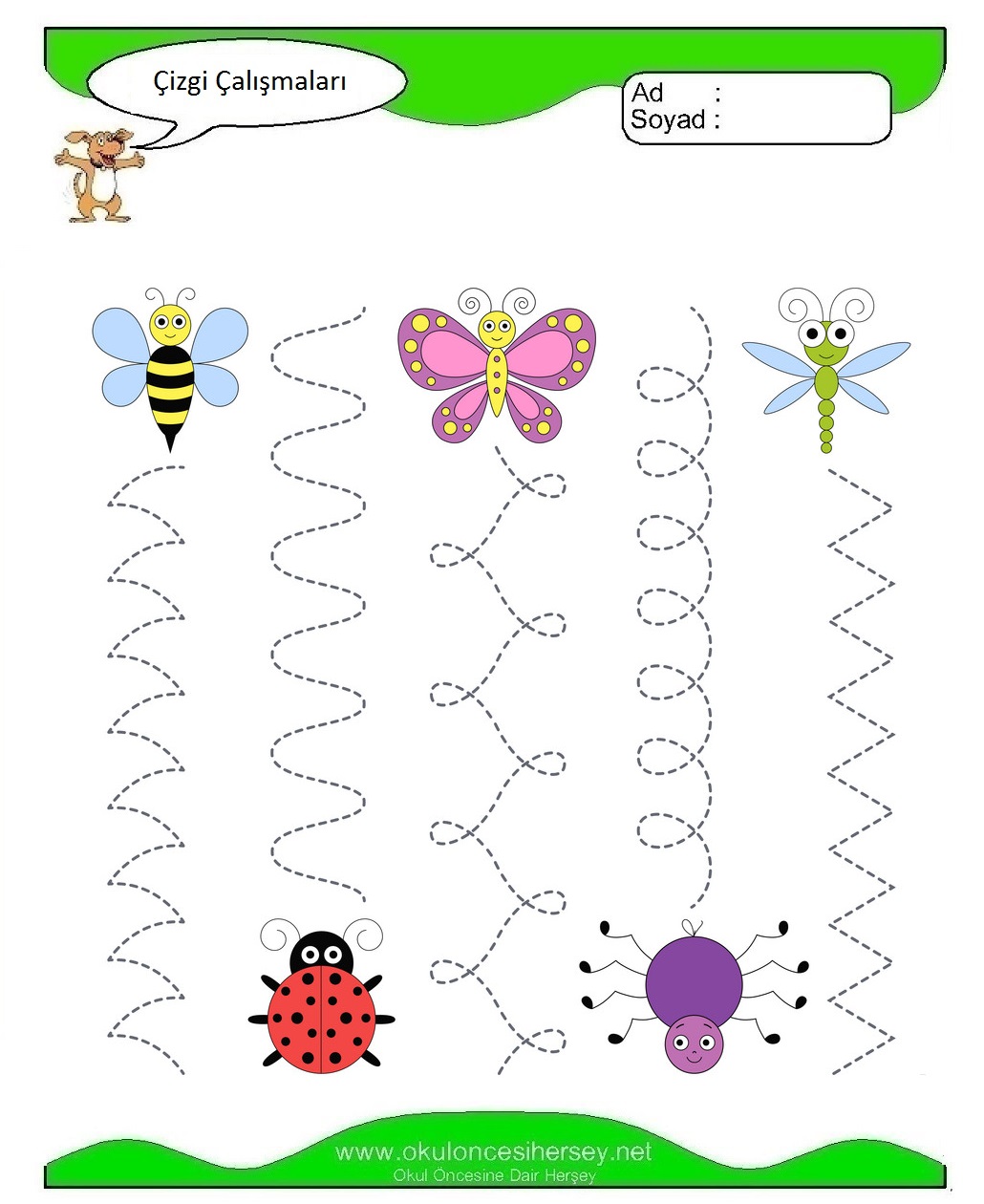 Çizgi Çalışmaları