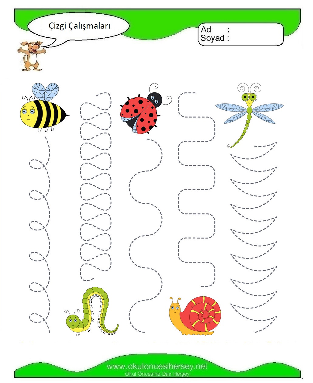 Çizgi Çalışmaları