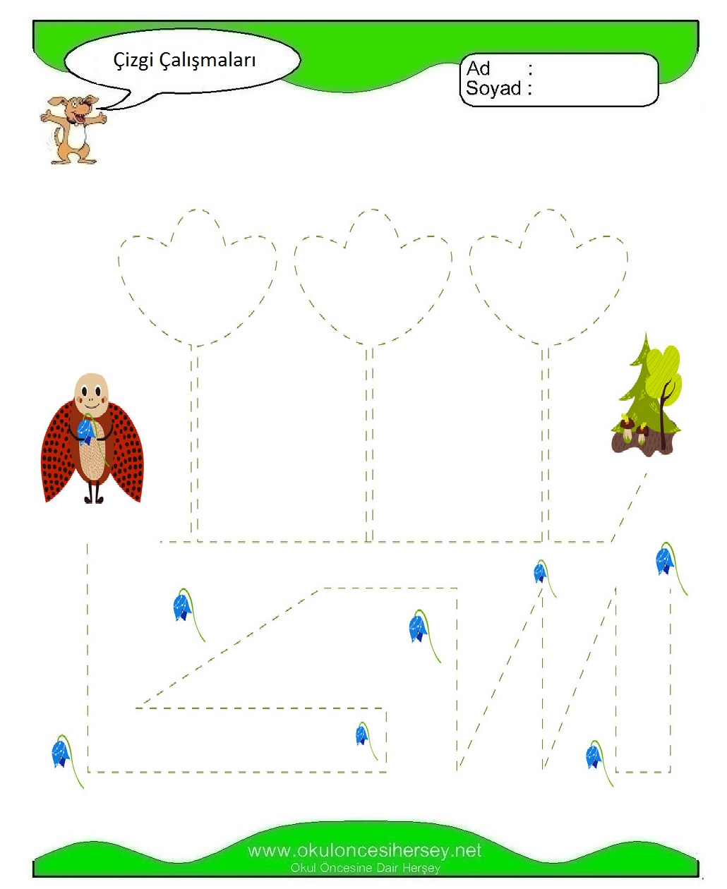 Çizgi Çalışmaları