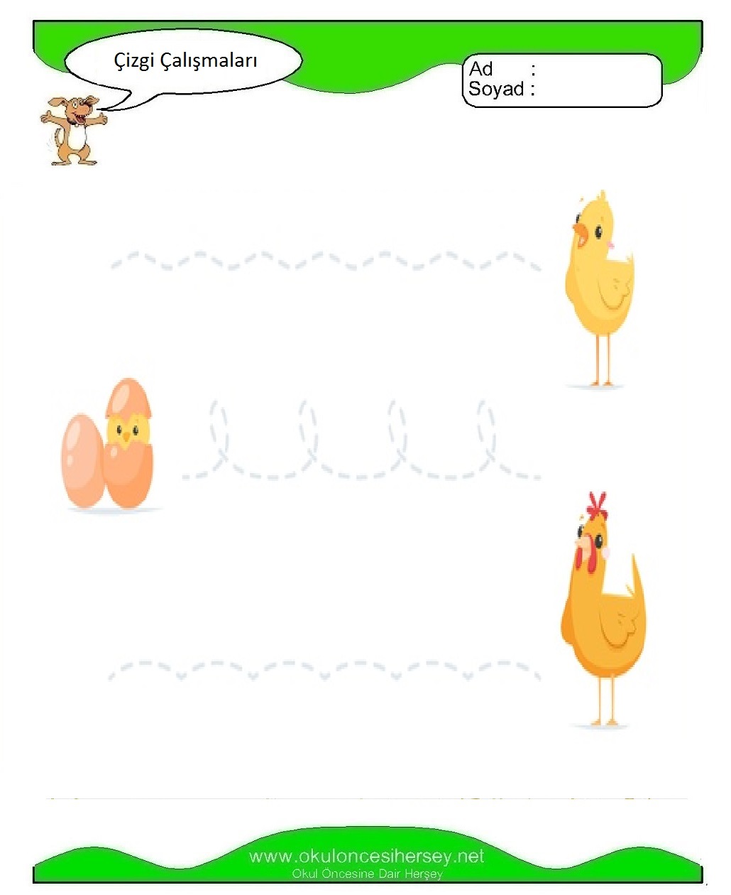 Çizgi Çalışmaları