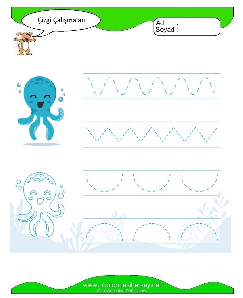 Çizgi Çalışmaları