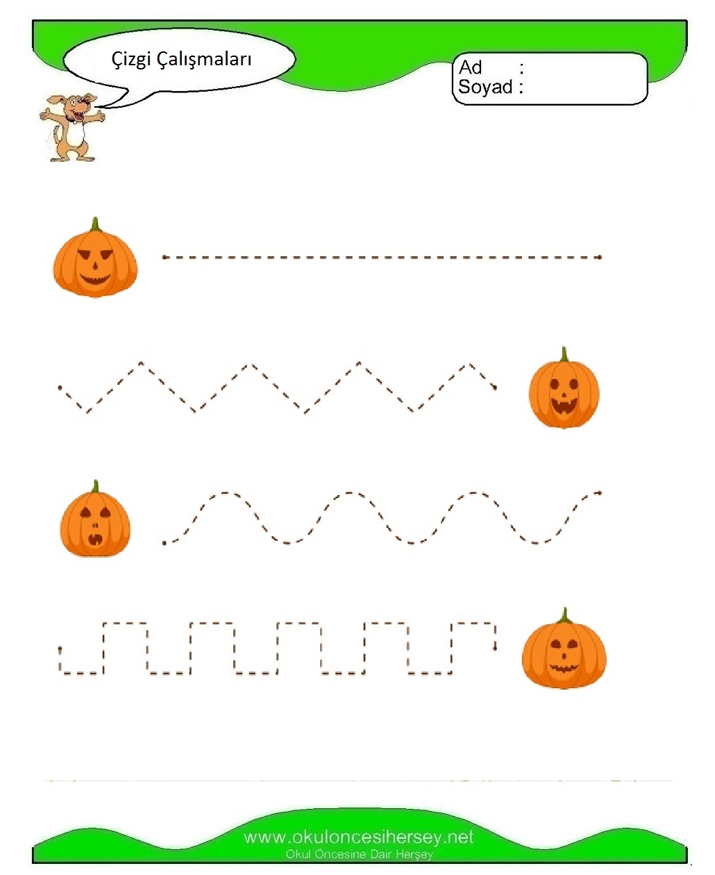 Çizgi Çalışmaları