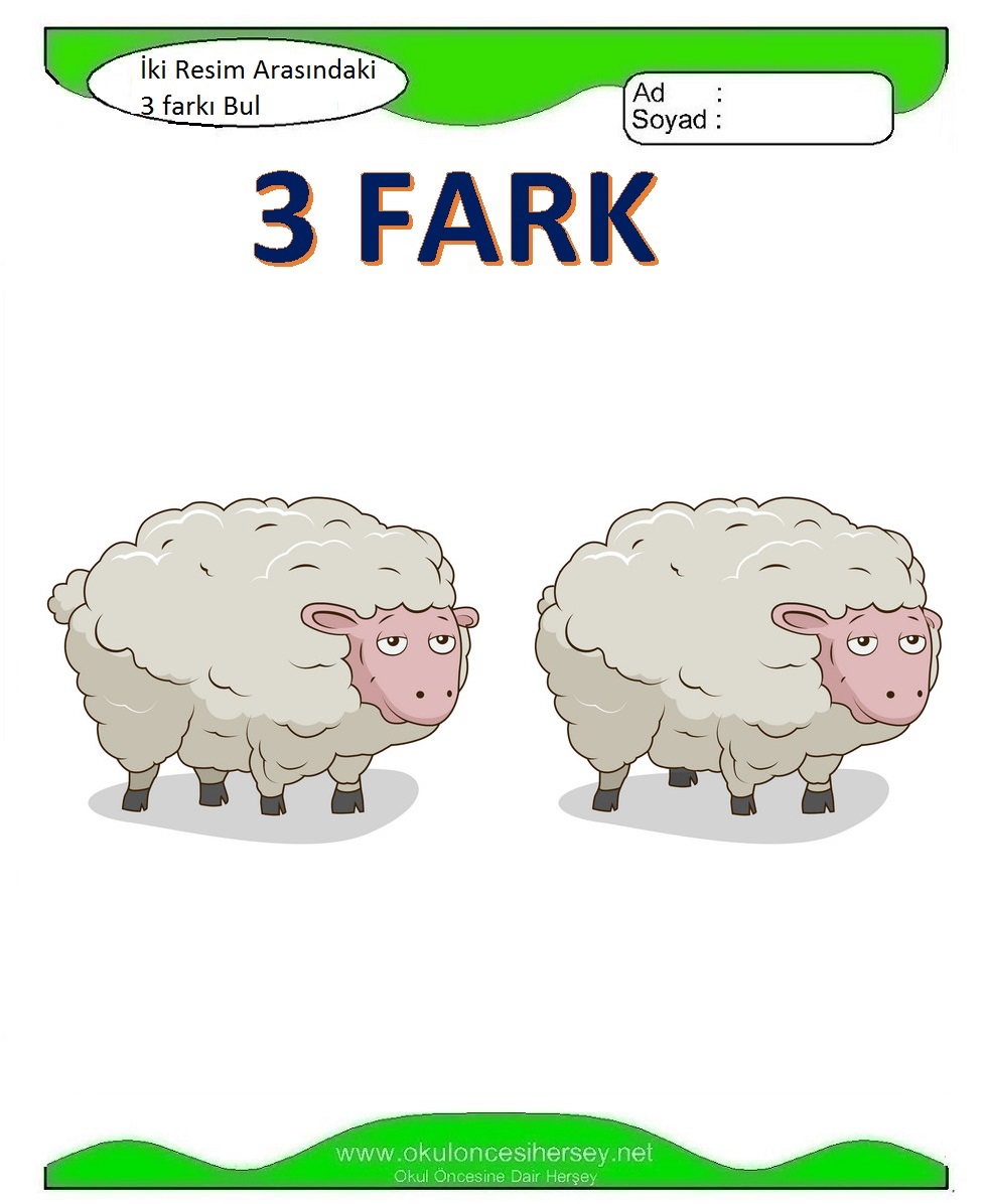 İki Resim Arasındaki Farkı Bul