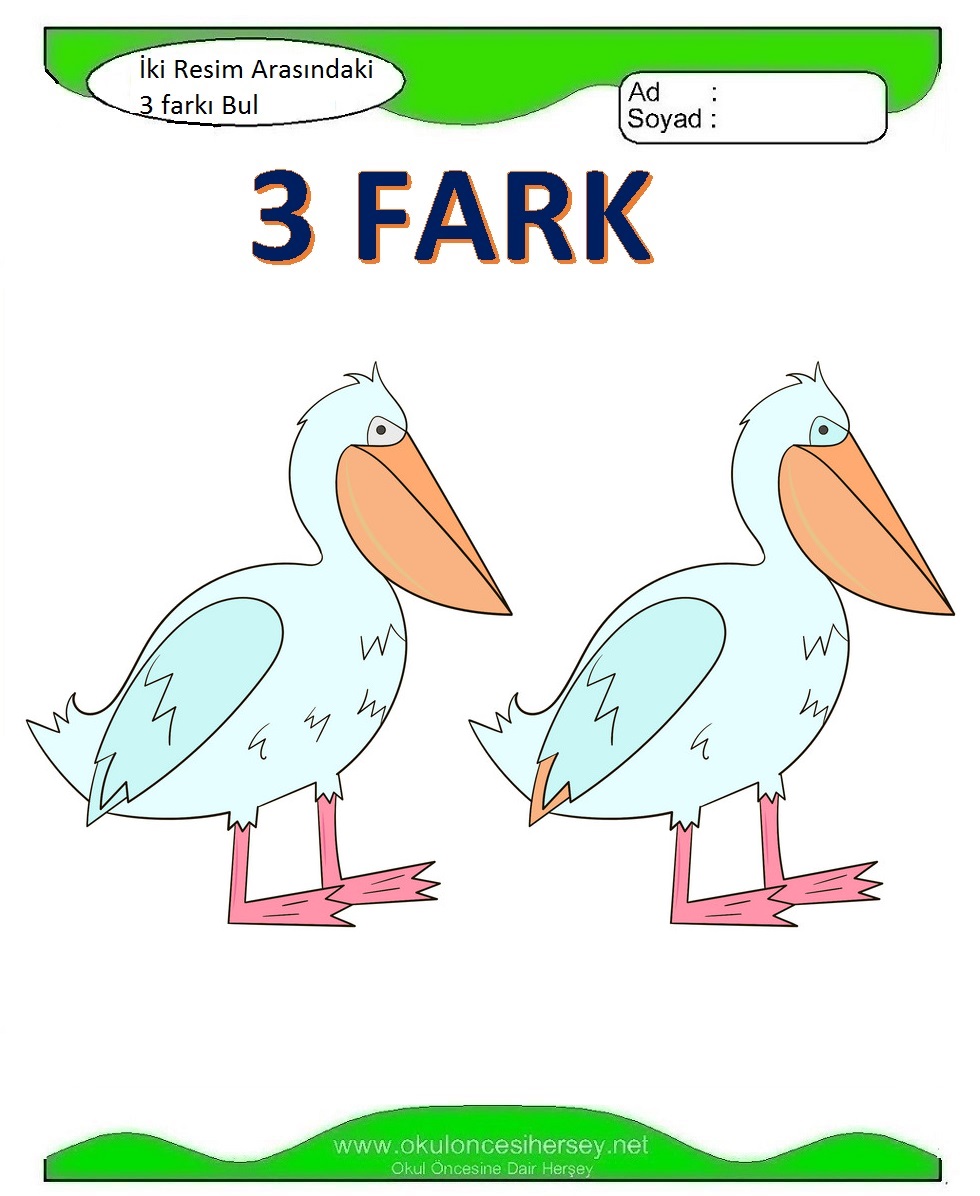İki Resim Arasındaki Farkı Bul