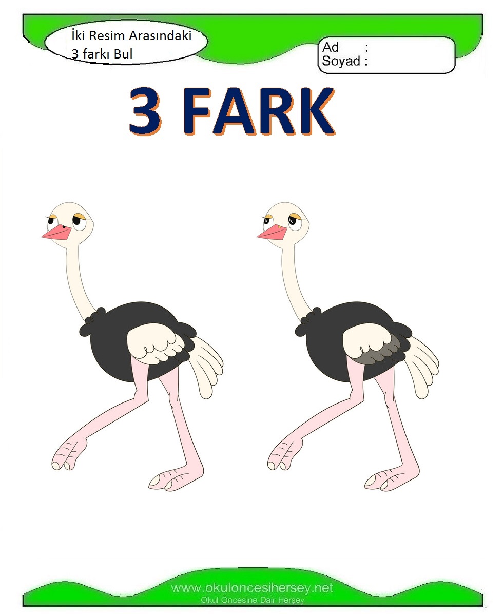 İki Resim Arasındaki Farkı Bul