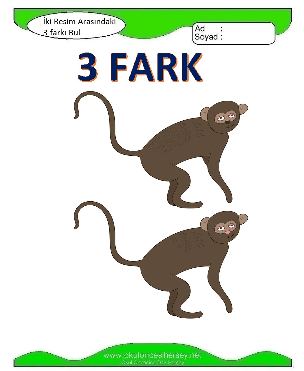 İki Resim Arasındaki Farkı Bul