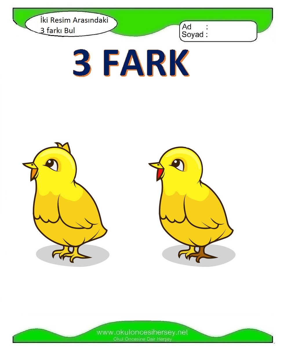 İki Resim Arasındaki Farkı Bul