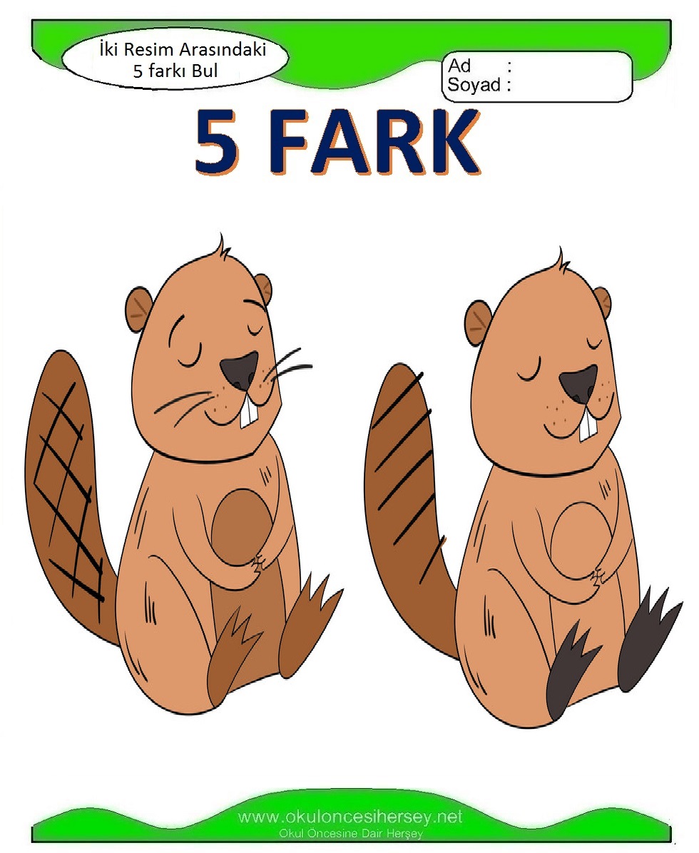 İki Resim Arasındaki 5 Farkı Bul