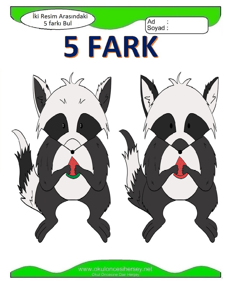 İki Resim Arasındaki 5 Farkı Bul