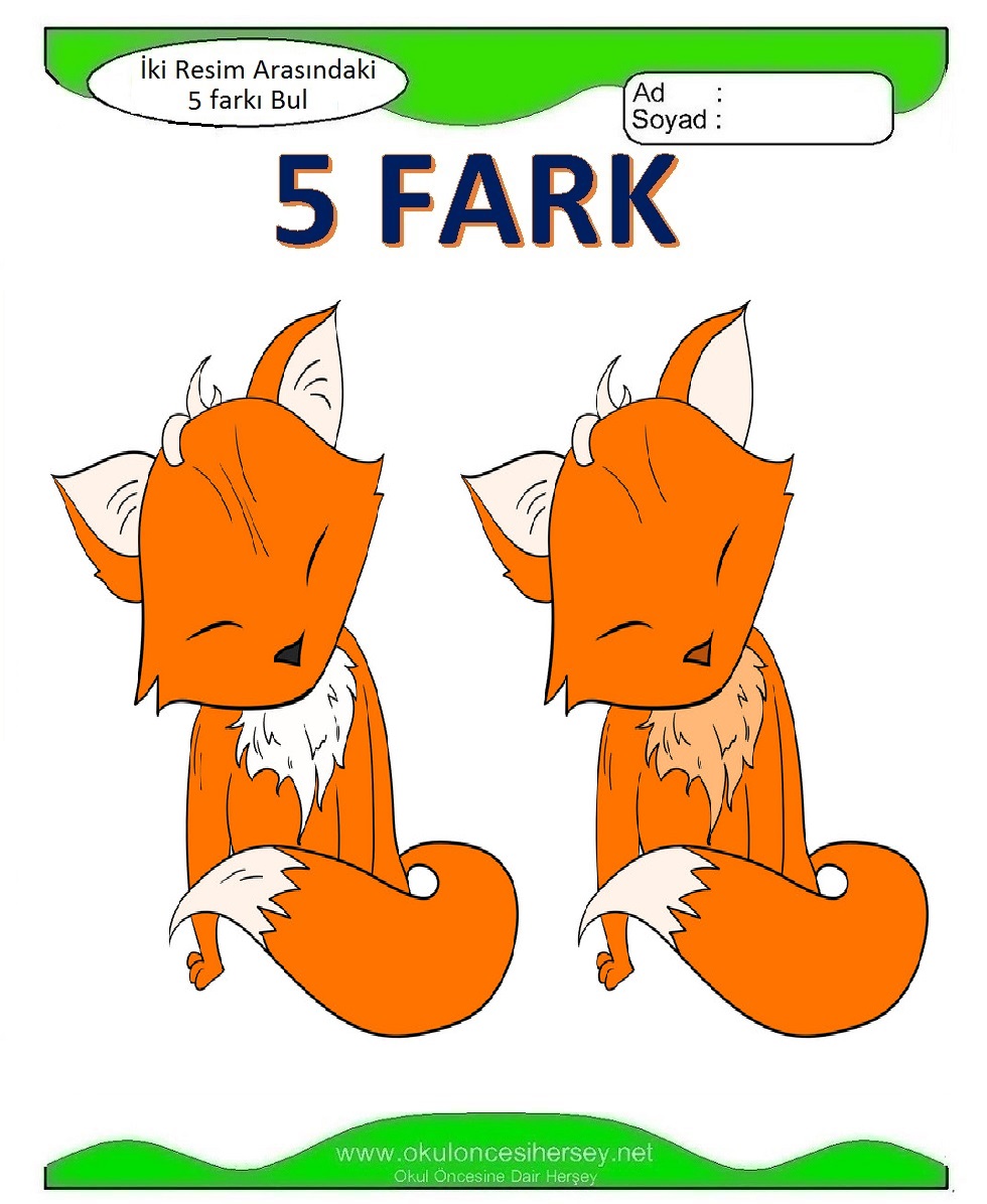 İki Resim Arasındaki 5 Farkı Bul