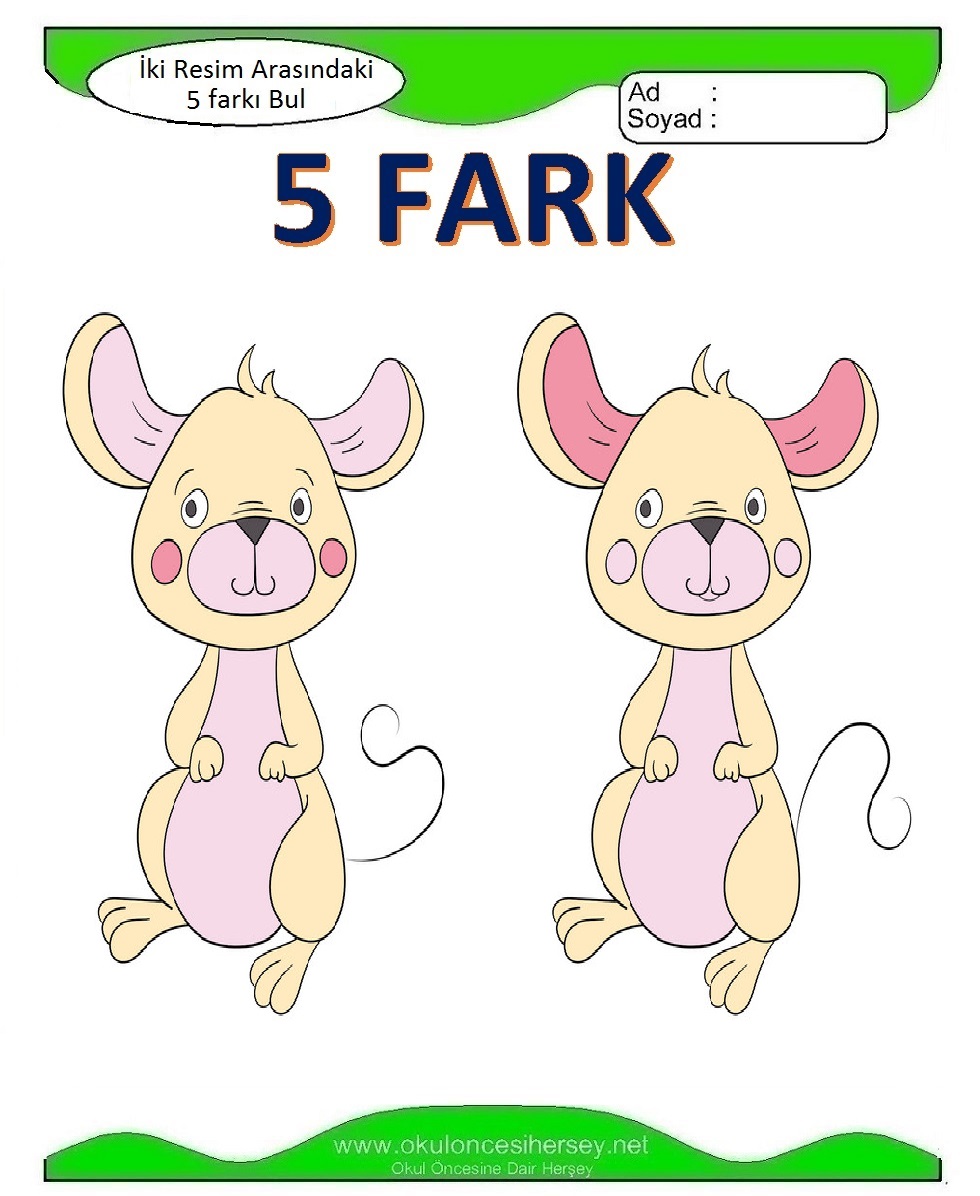 İki Resim Arasındaki 5 Farkı Bul