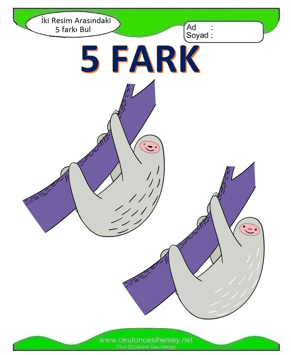 İki Resim Arasındaki 5 Farkı Bul