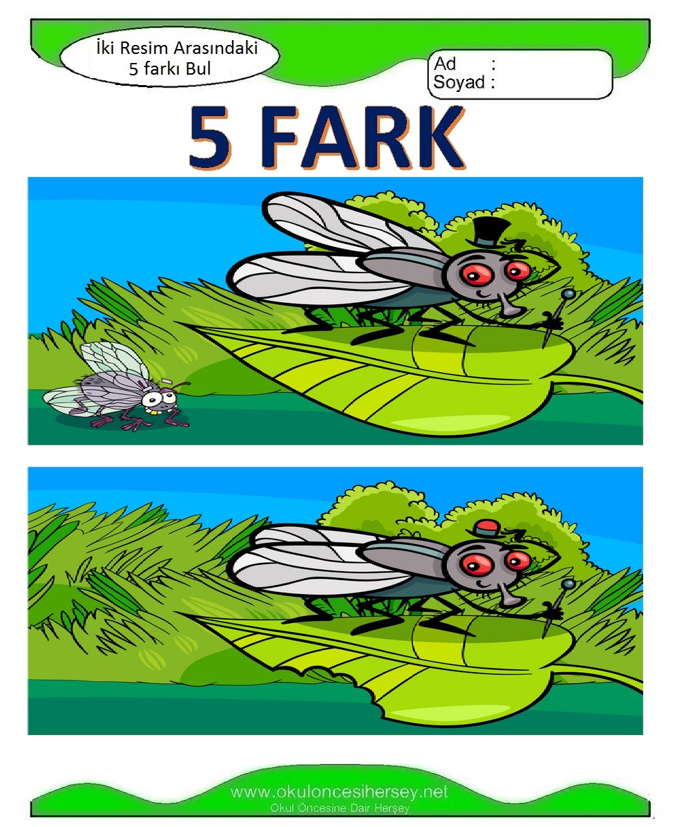 İki Resim Arasındaki 5 Farkı Bul