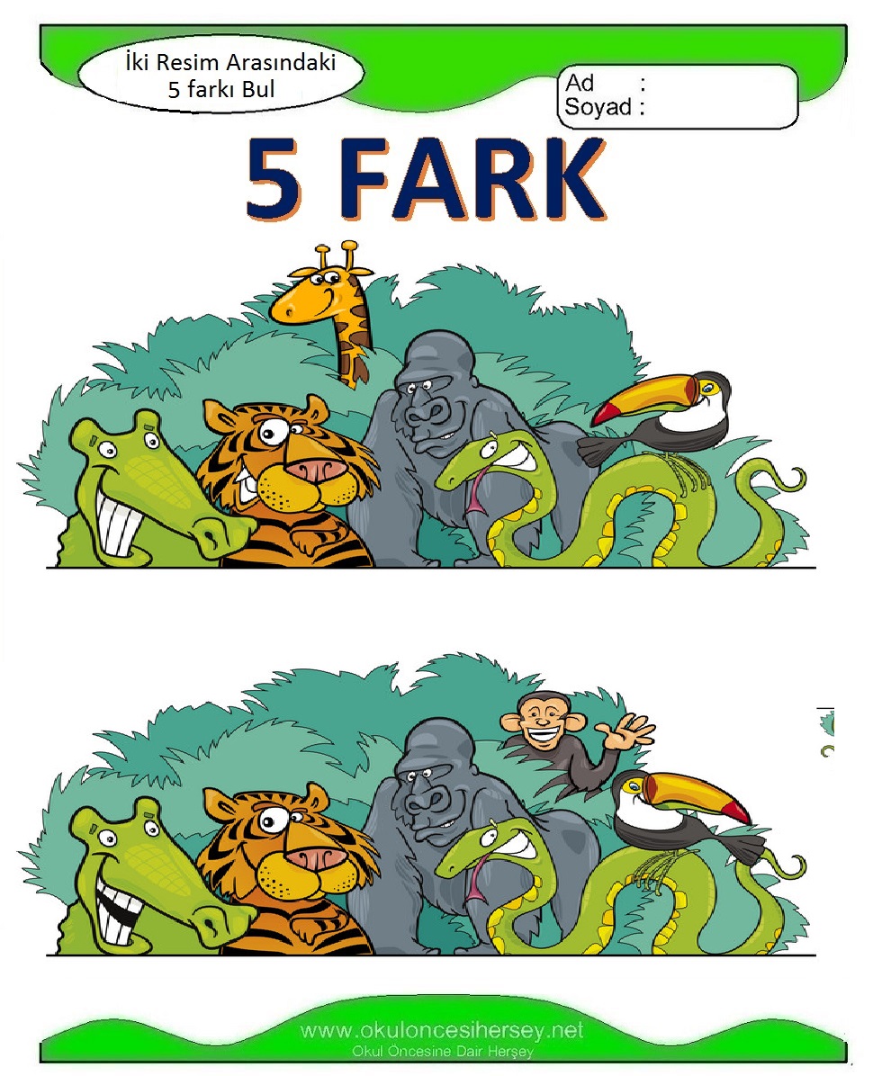 İki Resim Arasındaki 5 Farkı Bul