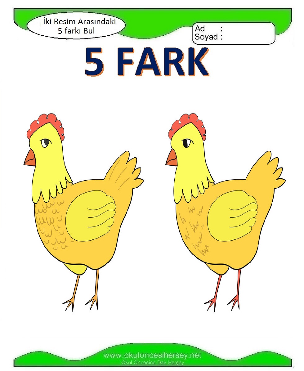 İki Resim Arasındaki 5 Farkı Bul