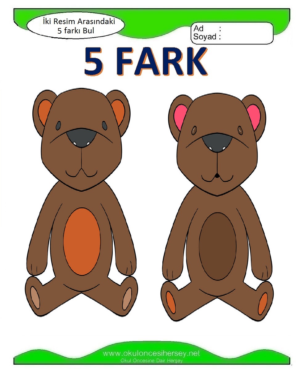 İki Resim Arasındaki 5 Farkı Bul