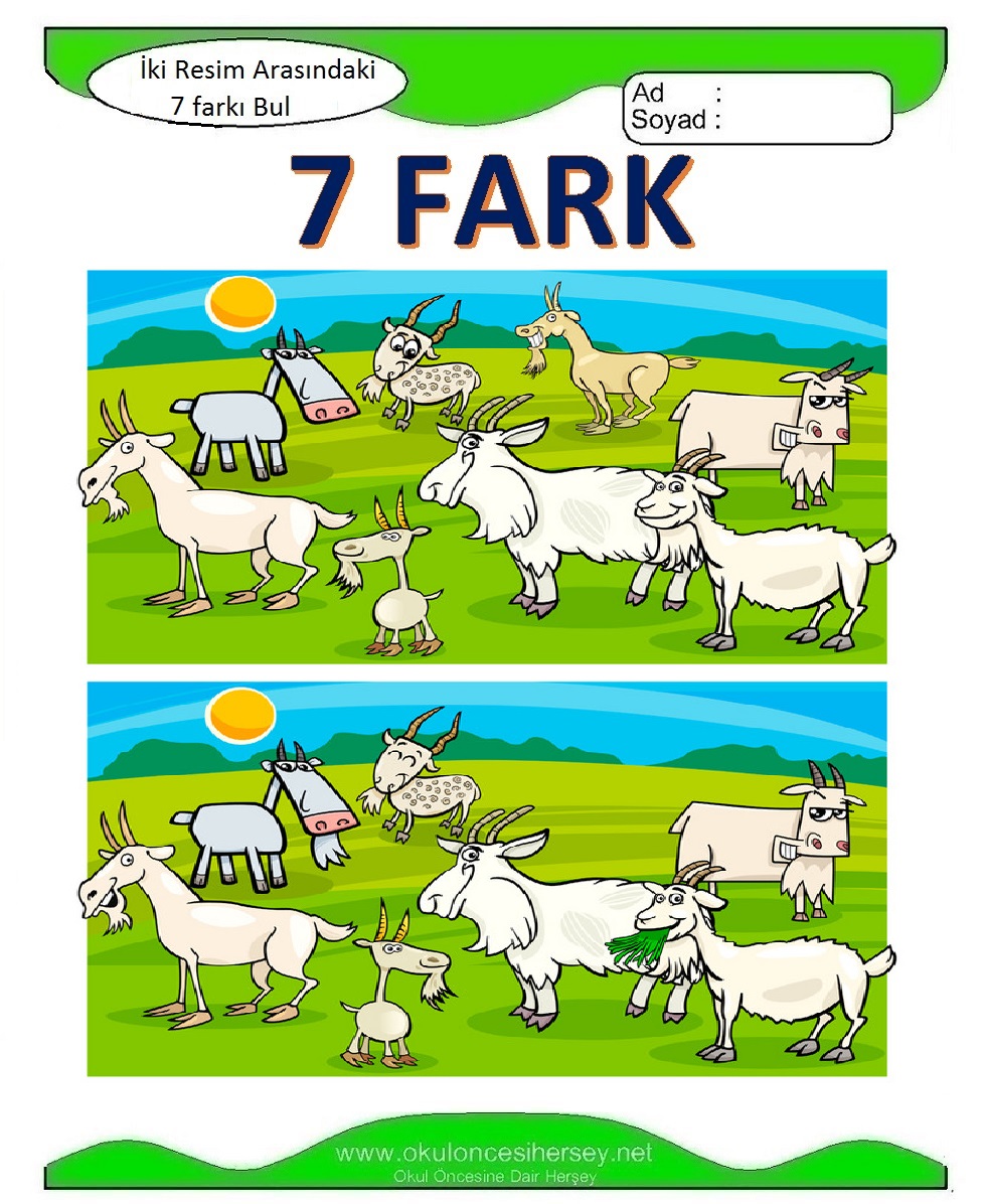 İki Resim Arasındaki Farkı Bul
