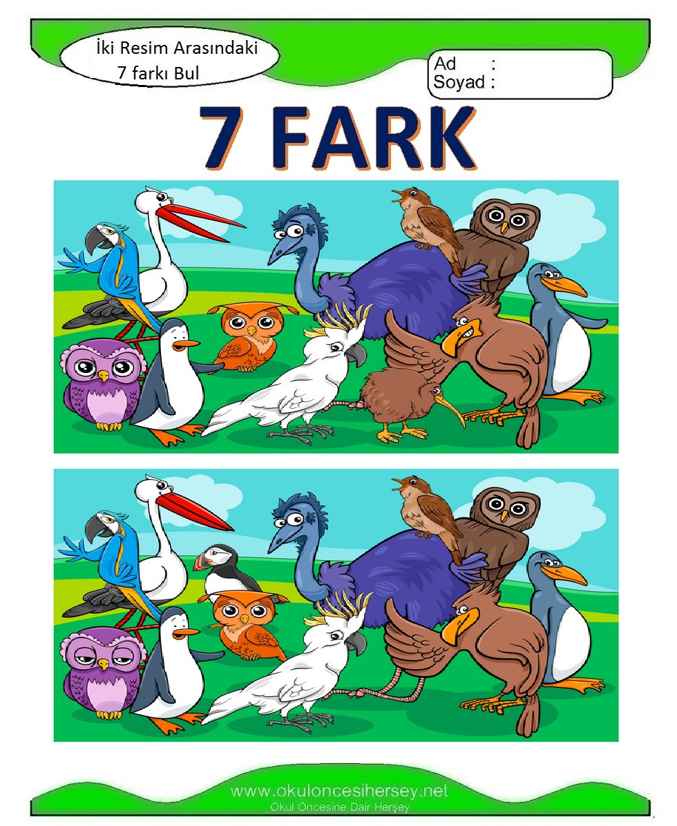 İki Resim Arasındaki Farkı Bul