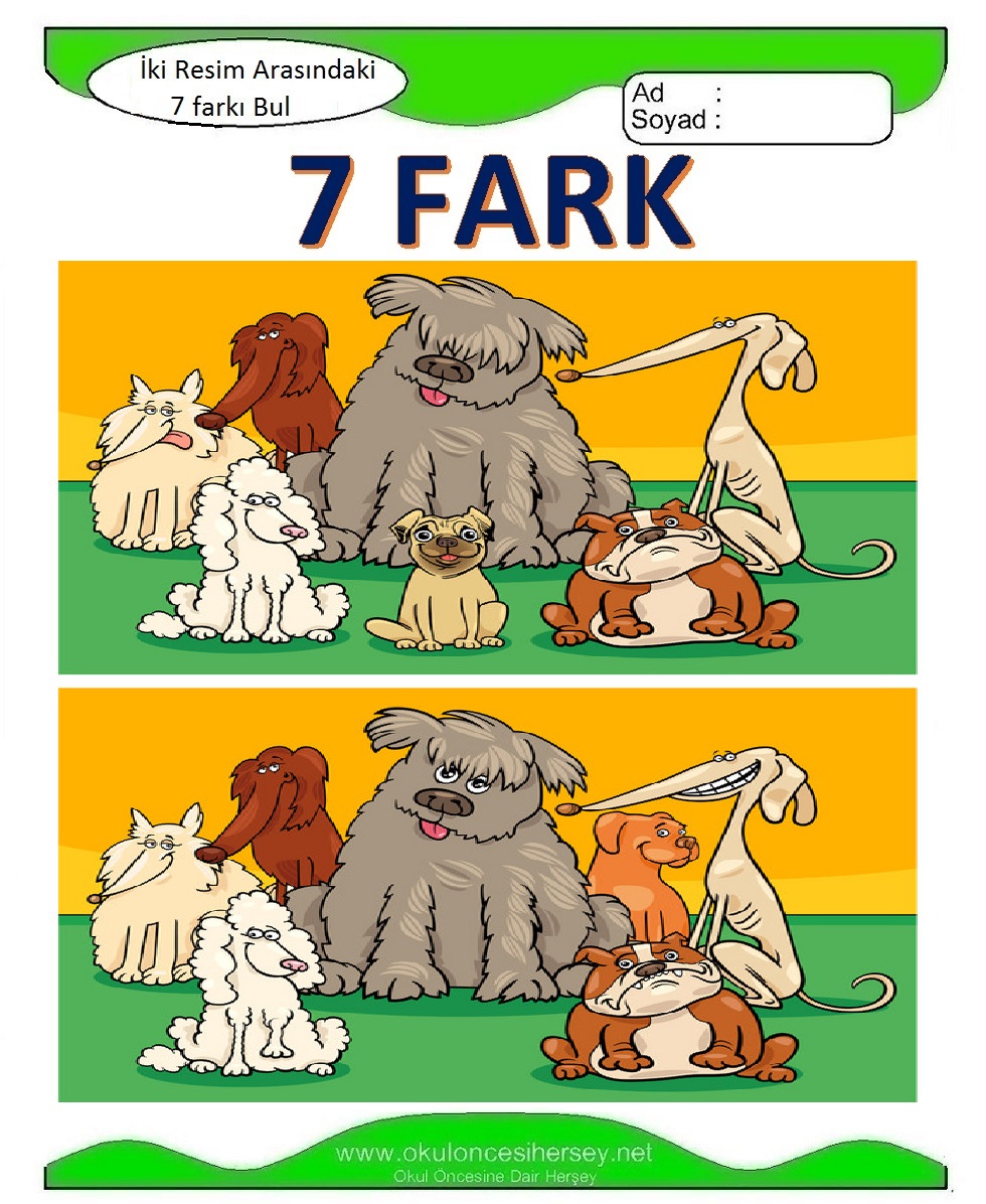İki Resim Arasındaki Farkı Bul