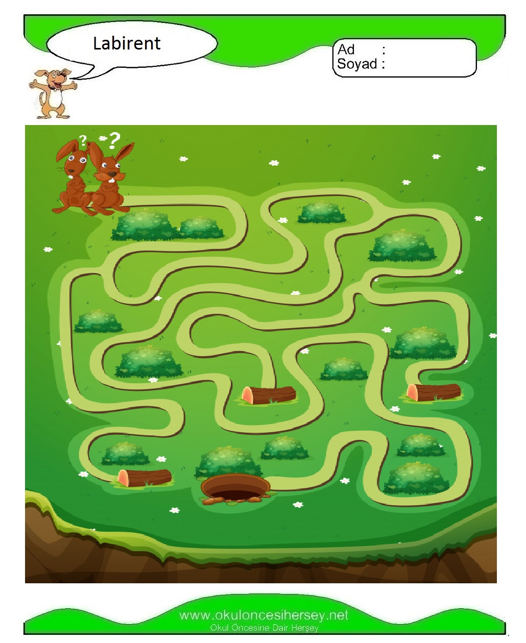 Labirent Bulmaca