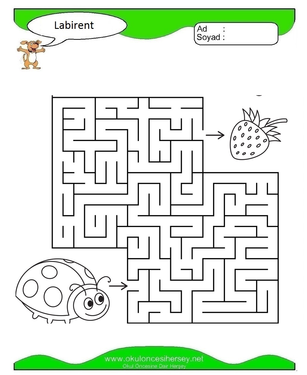 Labirent Bulmaca