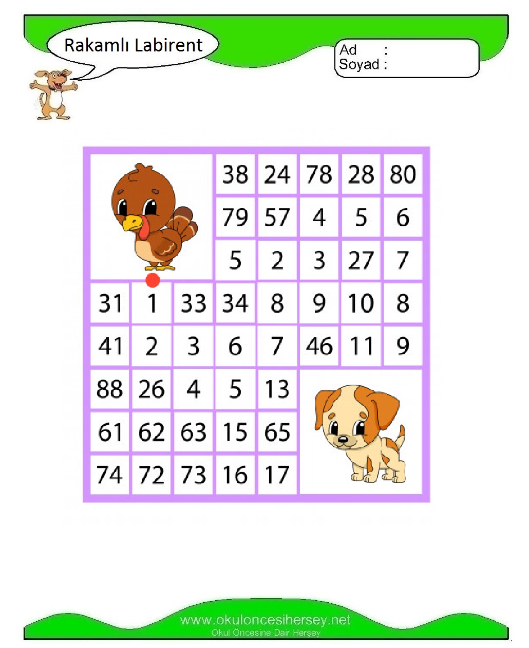 Rakamlı Labirent Bulmaca