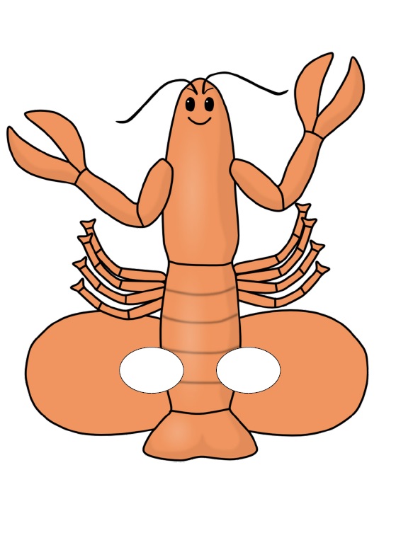 Çocuklar İçin  Deniz Canlıları Hazır Maske Şablonları 