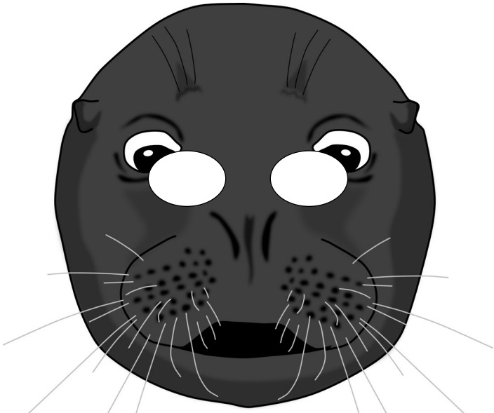 çocuklar için hazır kağıttan Fog maskesi şablonu