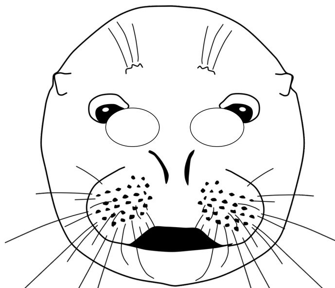 çocuklar için hazır kağıttan Fog maskesi şablonu