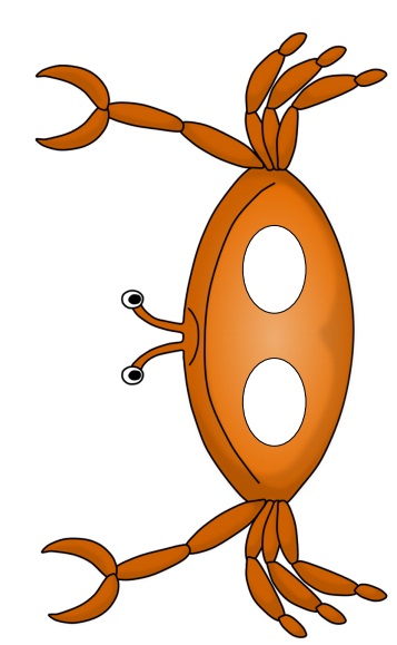 çocuklar için hazır kağıttan Yengeç maskesi şablonu