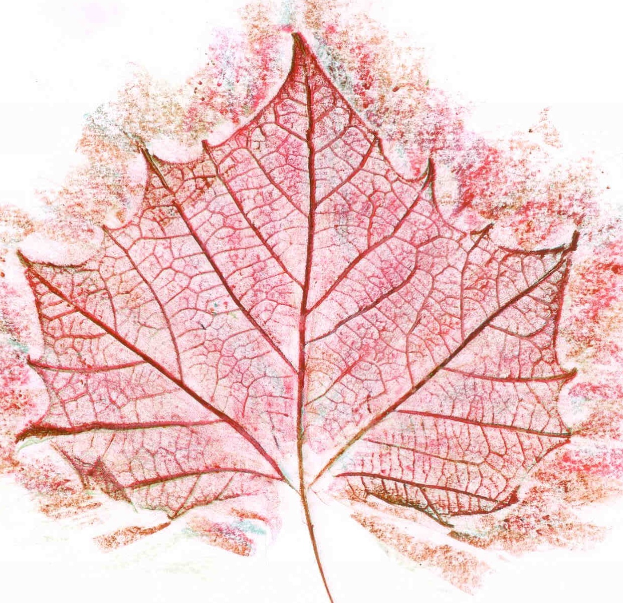 Yaprak Baskı Çalışmalaçrı