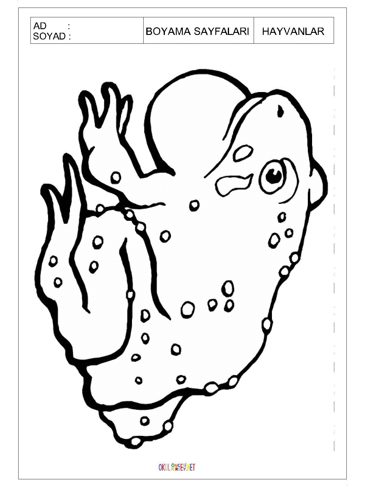 kurbağa boyama sayfası 2