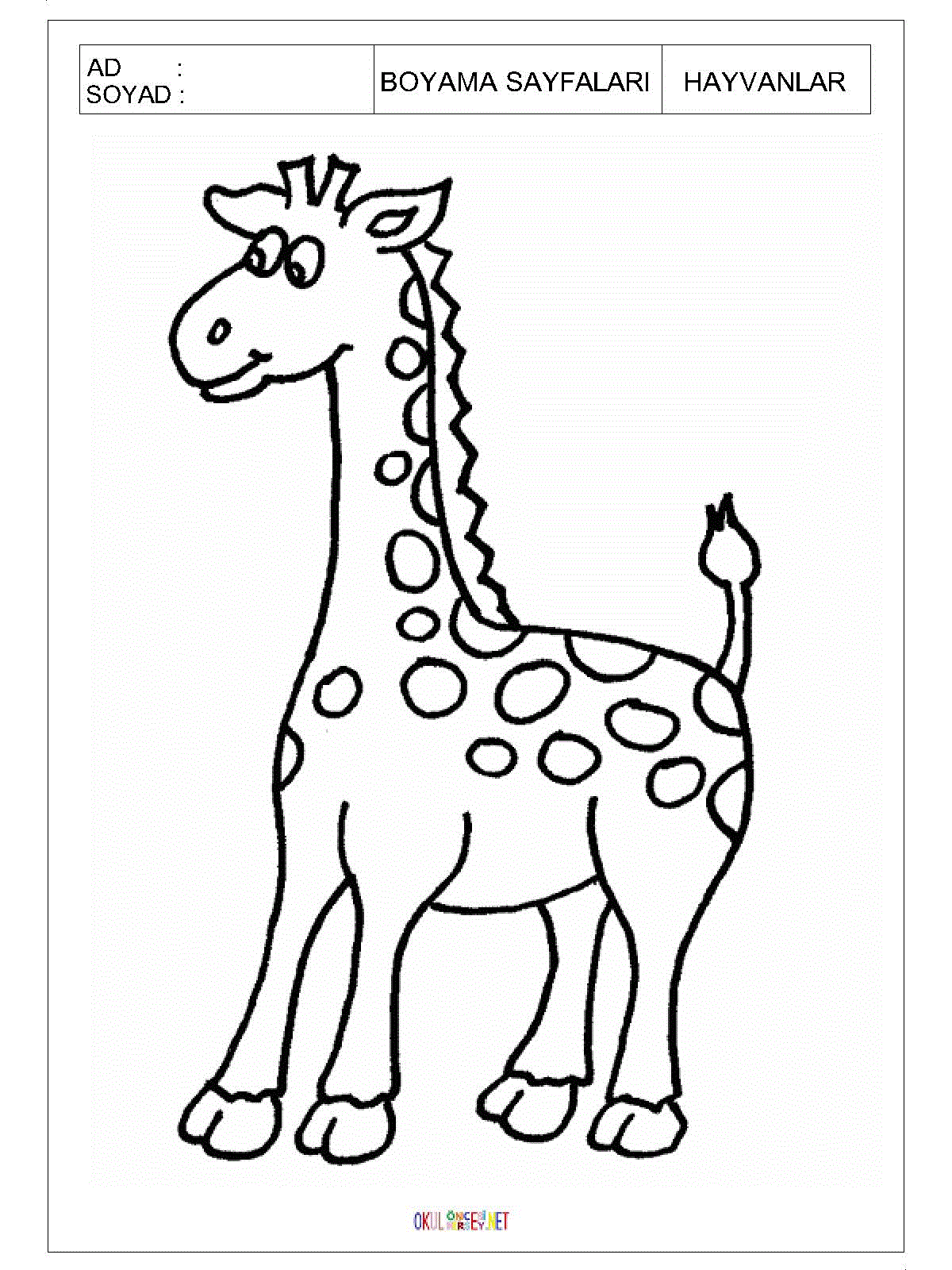 zürafa boyama sayfası