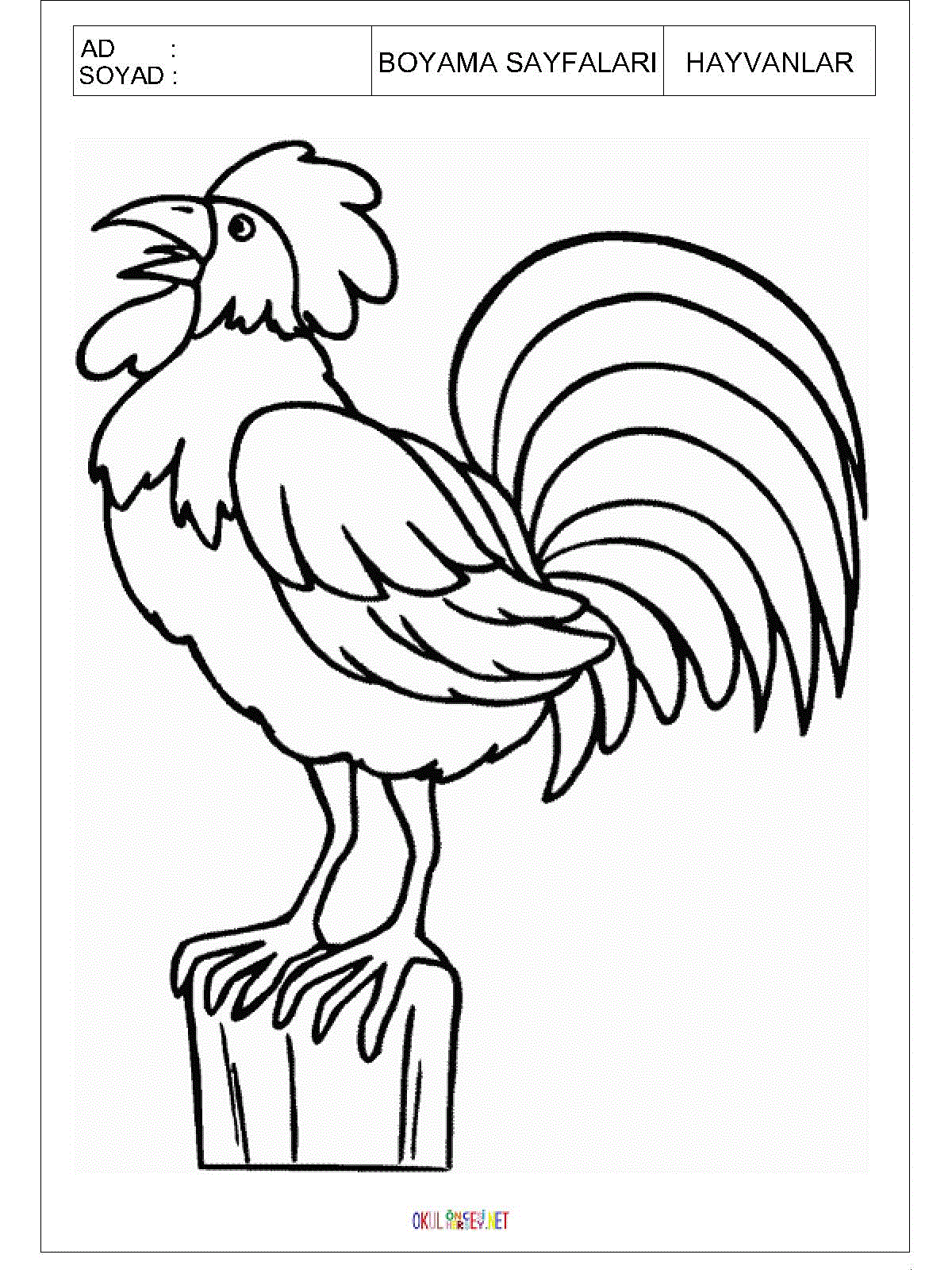 horoz boyama sayfası