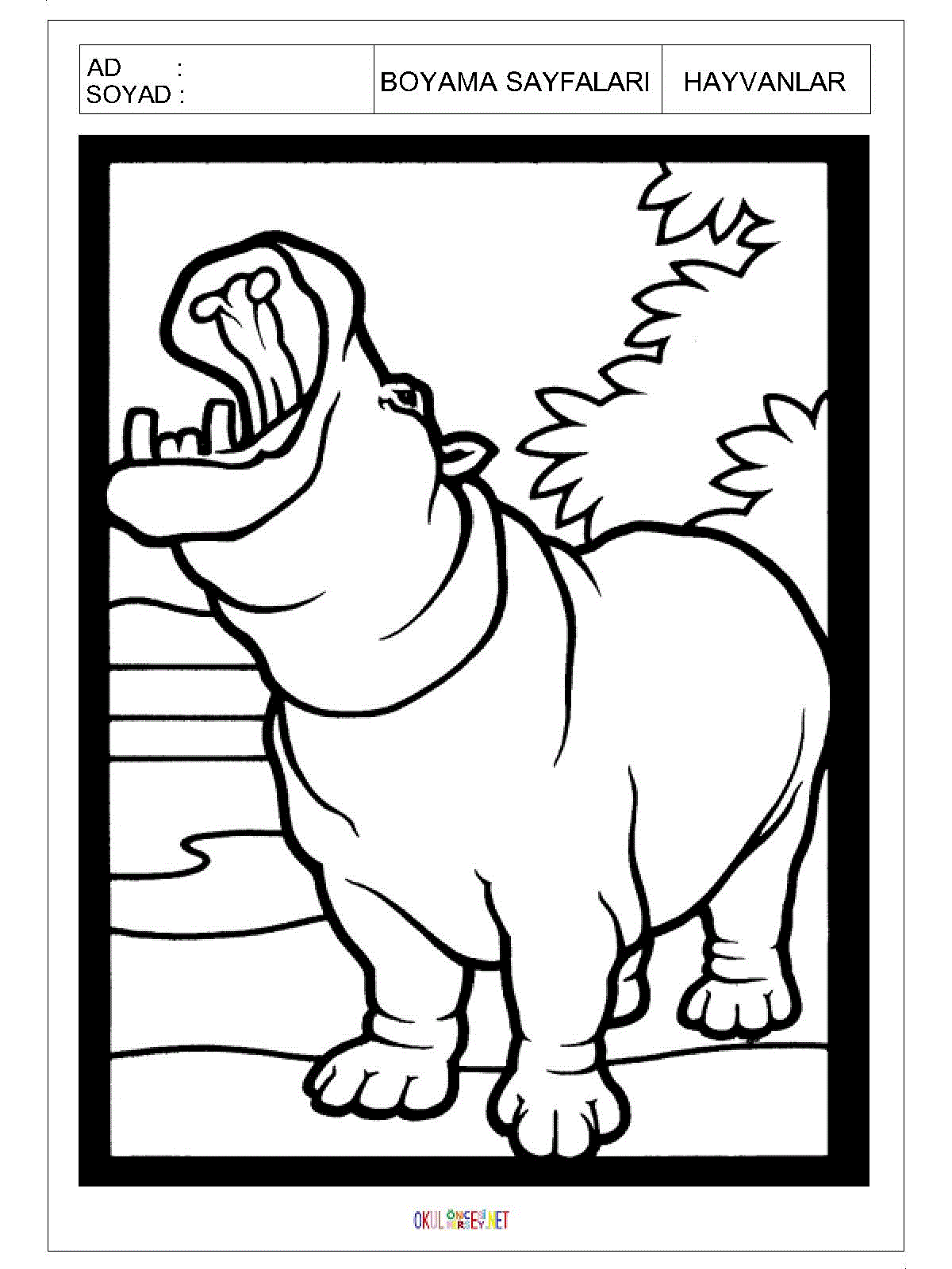 su aygırı boyama sayfası