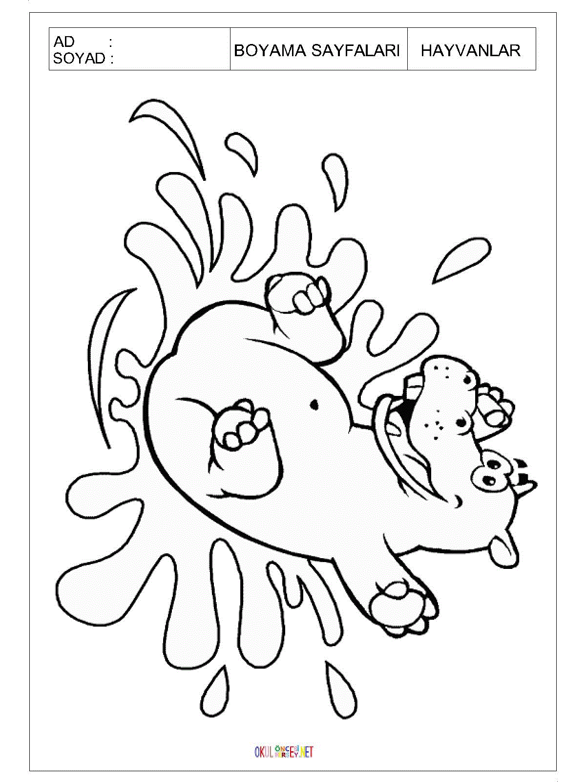 su aygırı boyama sayfası