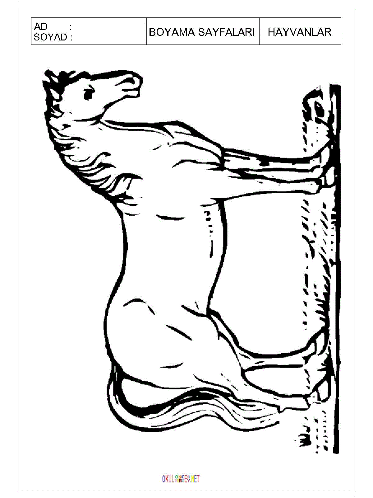 at boyama sayfası 2