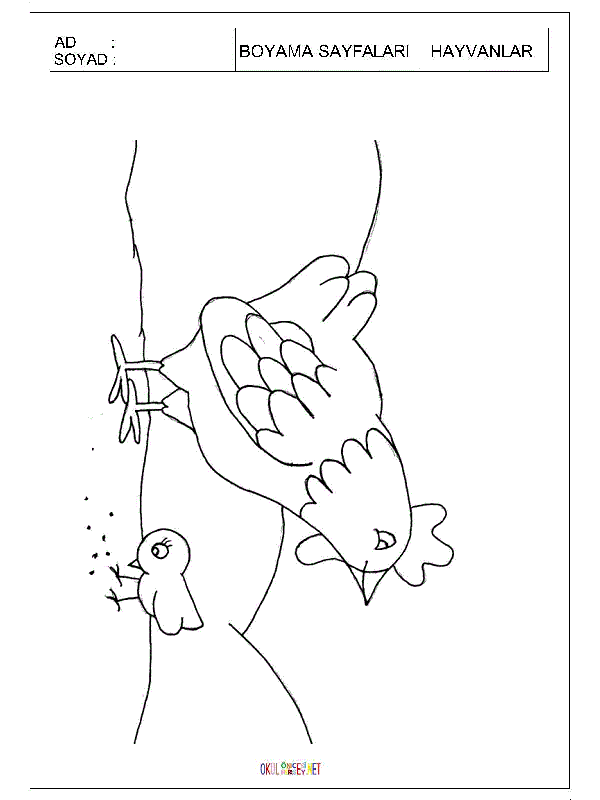 tavuk boyama sayfası 3