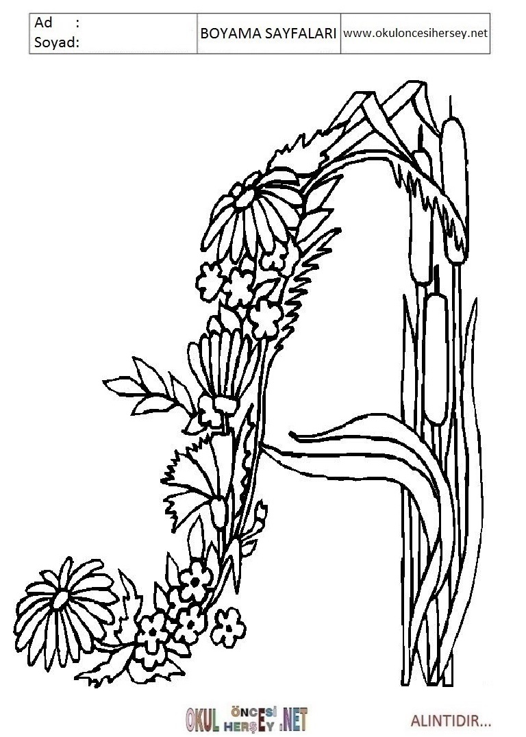 Harfler Boyama Sayfaları