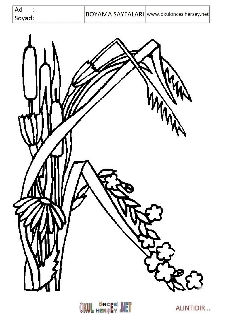 Harfler Boyama Sayfaları