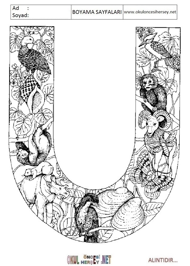 Harfler Boyama Sayfaları