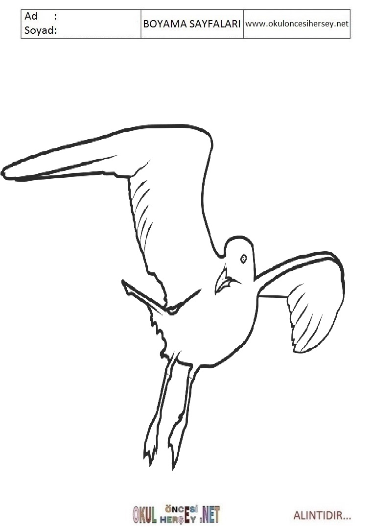 Marti Boyama Sayfalari