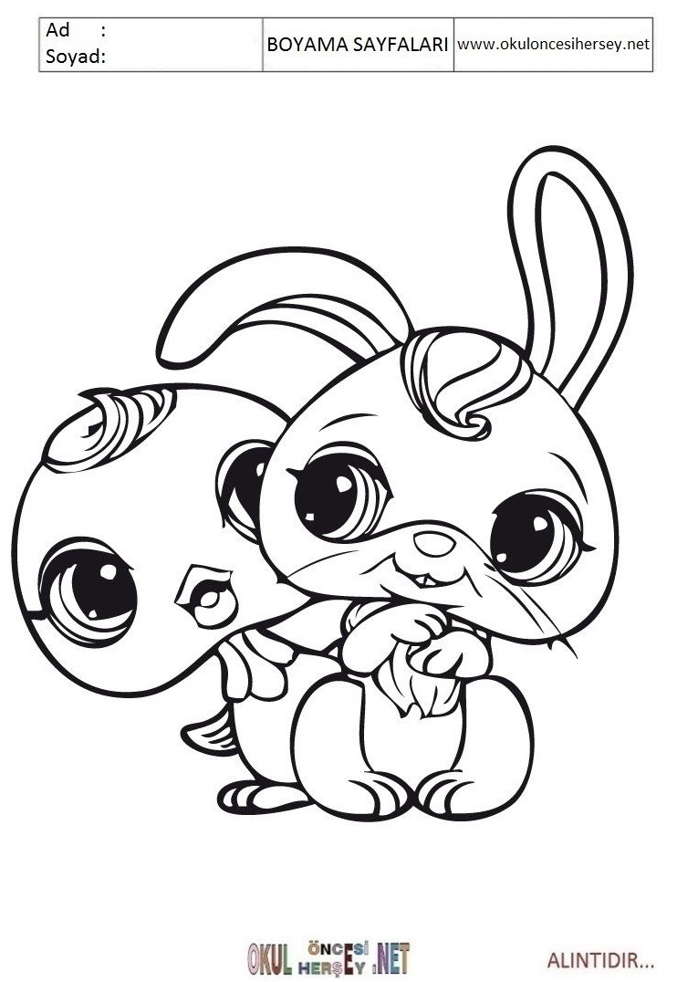 Çocuklar İçin Littlest Petshop Boyama Sayfaları 